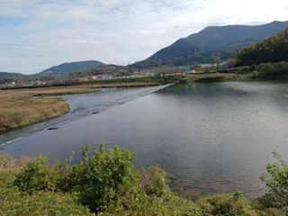 오영도님의 자유주제 · 자유게시판 작성글 사진