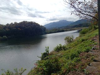 오영도님의 자유주제 · 자유게시판 작성글 사진