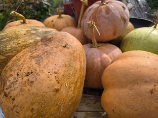 김세리님의 자유주제 · 자유게시판 작성글 사진