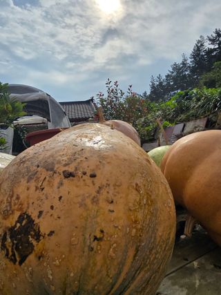 김세리님의 자유주제 · 자유게시판 작성글 사진