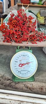 팜모닝 · 게시글 이미지