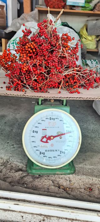 백순분님의 작성글 사진