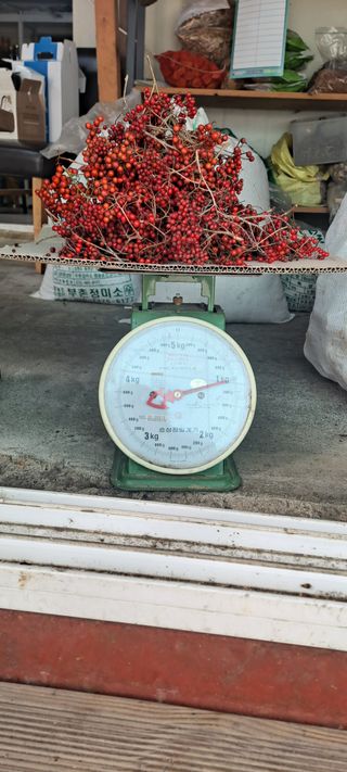 백순분님의 작성글 사진