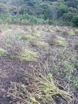 팜모닝 11월 농사 계획 공유하기·참여글 게시글 이미지