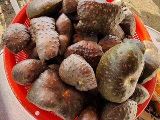 조선된장님의 11월 농사 계획 공유하기 · 참여글 작성글 사진