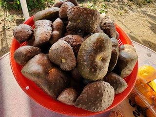 조선된장님의 11월 농사 계획 공유하기 · 참여글 작성글 사진