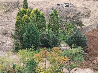 손정아님의 11월 농사 계획 공유하기 · 참여글 작성글 사진