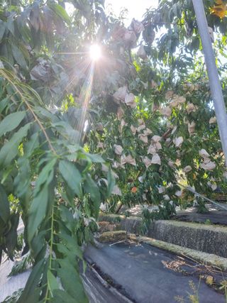 정영기대산축산농부♡님의 자유주제 · 자유게시판 작성글 사진