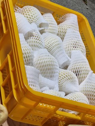 정영기대산축산농부♡님의 자유주제 · 자유게시판 작성글 사진