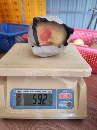 정영기대산축산농부♡님의 자유주제 · 자유게시판 작성글 사진