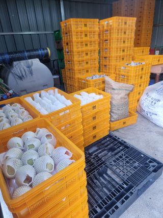 정영기대산축산농부♡님의 자유주제 · 자유게시판 작성글 사진