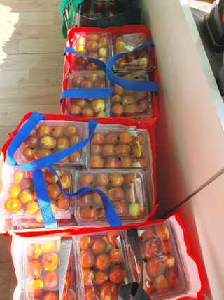 최동수님의 기타작물 · 영농일지 작성글 사진