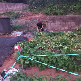 김건우님의 11월 농사 계획 공유하기 · 참여글 작성글 사진