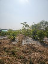 팜모닝 자유주제·자유게시판 게시글 이미지