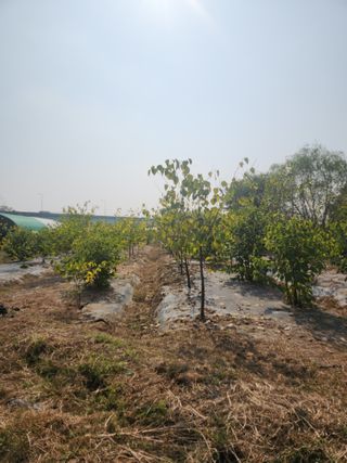 양기수님의 자유주제 · 자유게시판 작성글 사진