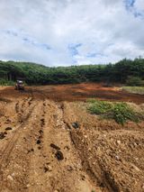 팜모닝 마늘·영농일지 게시글 이미지