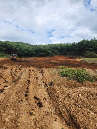꽃지베리팜(윤인원)님의 마늘 · 영농일지 작성글 사진