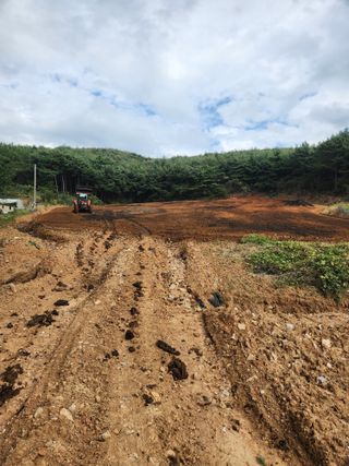 꽃지베리팜(윤인원)님의 마늘 · 영농일지 작성글 사진