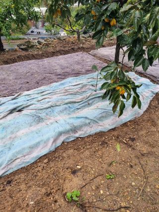 김용대님의 11월 농사 계획 공유하기 · 참여글 작성글 사진