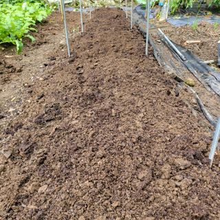 오케바리(옥경종)님의 콩 · 영농일지 작성글 사진