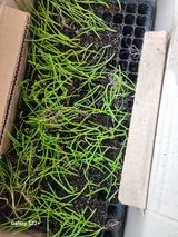 팜모닝 자유주제·건의해요 게시글 이미지