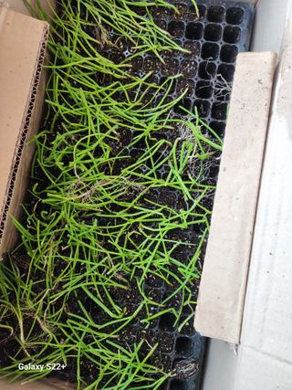 이봉한 님의 자유주제 · 건의해요 작성글 사진