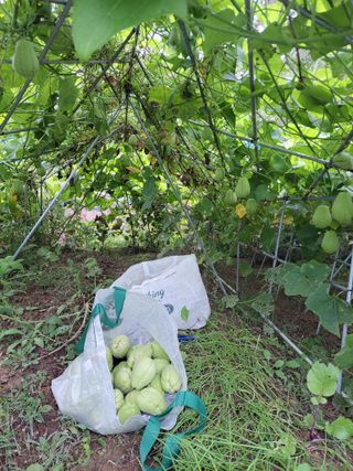 원빈님의 자유주제 · 자유게시판 작성글 사진