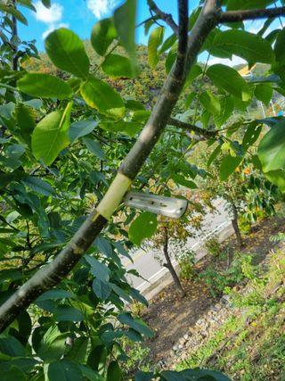 김용대님의 자유주제 · 자유게시판 작성글 사진