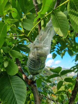 김용대님의 자유주제 · 자유게시판 작성글 사진