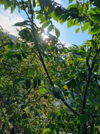 김용대님의 자유주제 · 자유게시판 작성글 사진