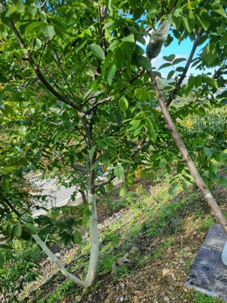 김용대님의 자유주제 · 자유게시판 작성글 사진