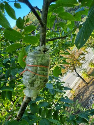 김용대님의 자유주제 · 자유게시판 작성글 사진