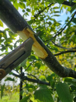 김용대님의 자유주제 · 자유게시판 작성글 사진