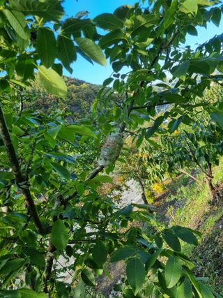 김용대님의 자유주제 · 자유게시판 작성글 사진