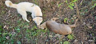 해오름달님의 자유주제 · 자유게시판 작성글 사진