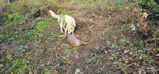 해오름달님의 자유주제 · 자유게시판 작성글 사진