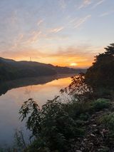 팜모닝 자유주제·자유게시판 게시글 이미지