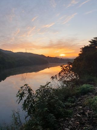 최동수님의 자유주제 · 자유게시판 작성글 사진