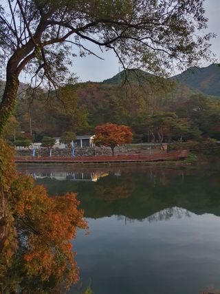 최동수님의 자유주제 · 자유게시판 작성글 사진