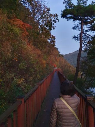 최동수님의 자유주제 · 자유게시판 작성글 사진