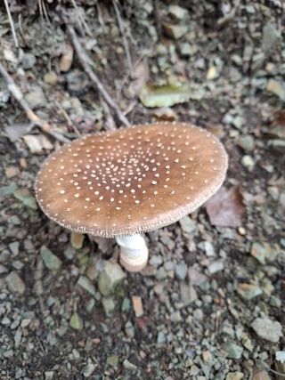 박정미님의 자유주제 · 자유게시판 작성글 사진