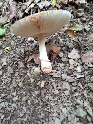 박정미님의 자유주제 · 자유게시판 작성글 사진