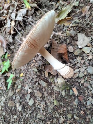 박정미님의 자유주제 · 자유게시판 작성글 사진