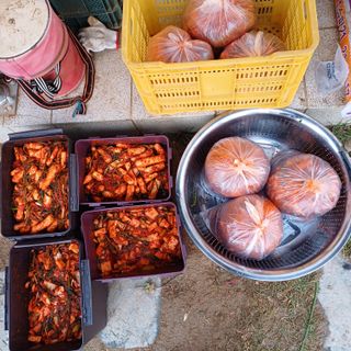 삼성농산님의 자유주제 · 자유게시판 작성글 사진