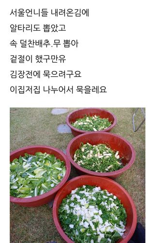 삼성농산님의 자유주제 · 자유게시판 작성글 사진