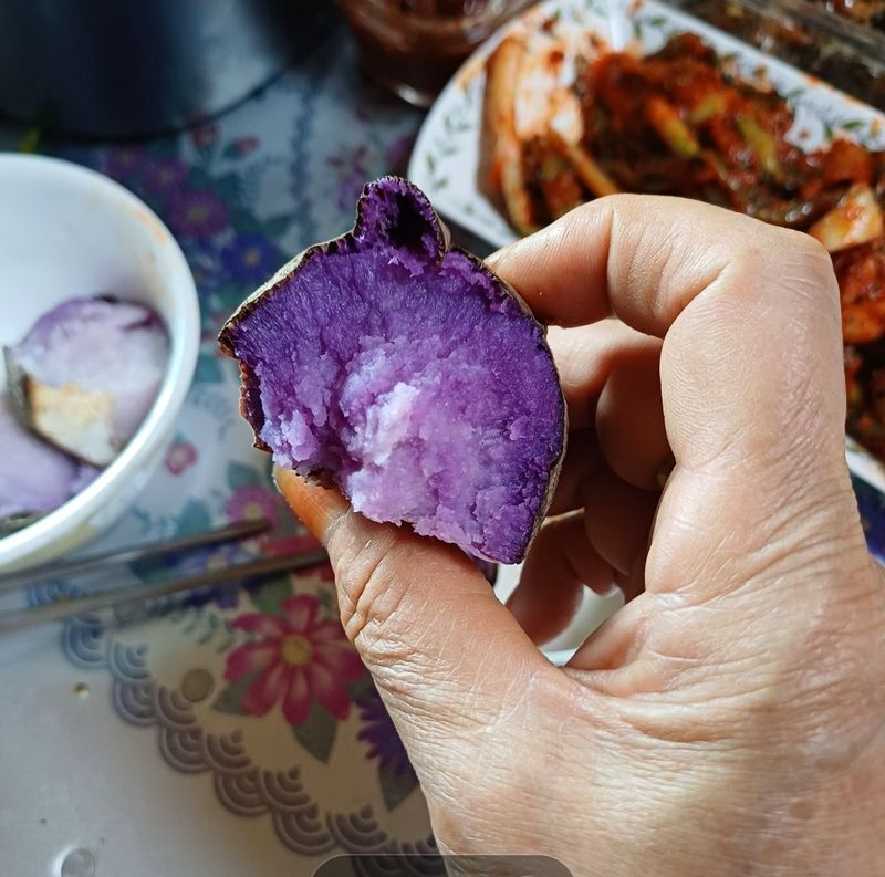 삼성농산님의 장터 판매 상품 [(마감)2차 자색마 종자.식용 판매] 첨부 사진