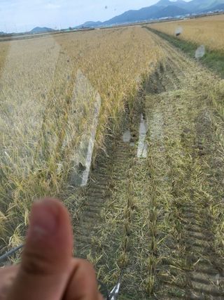 김영진(전남영광)님의 자유주제 · 자유게시판 작성글 사진