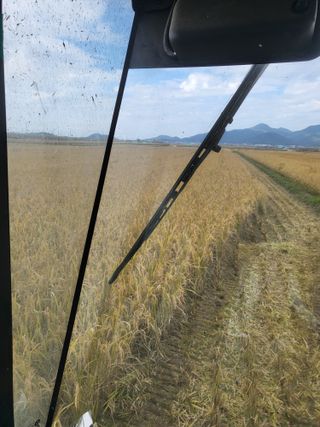 김영진(전남영광)님의 자유주제 · 자유게시판 작성글 사진