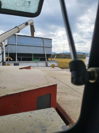 김영진(전남영광)님의 자유주제 · 자유게시판 작성글 사진