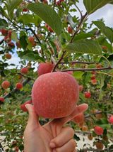 팜모닝 · 게시글 이미지